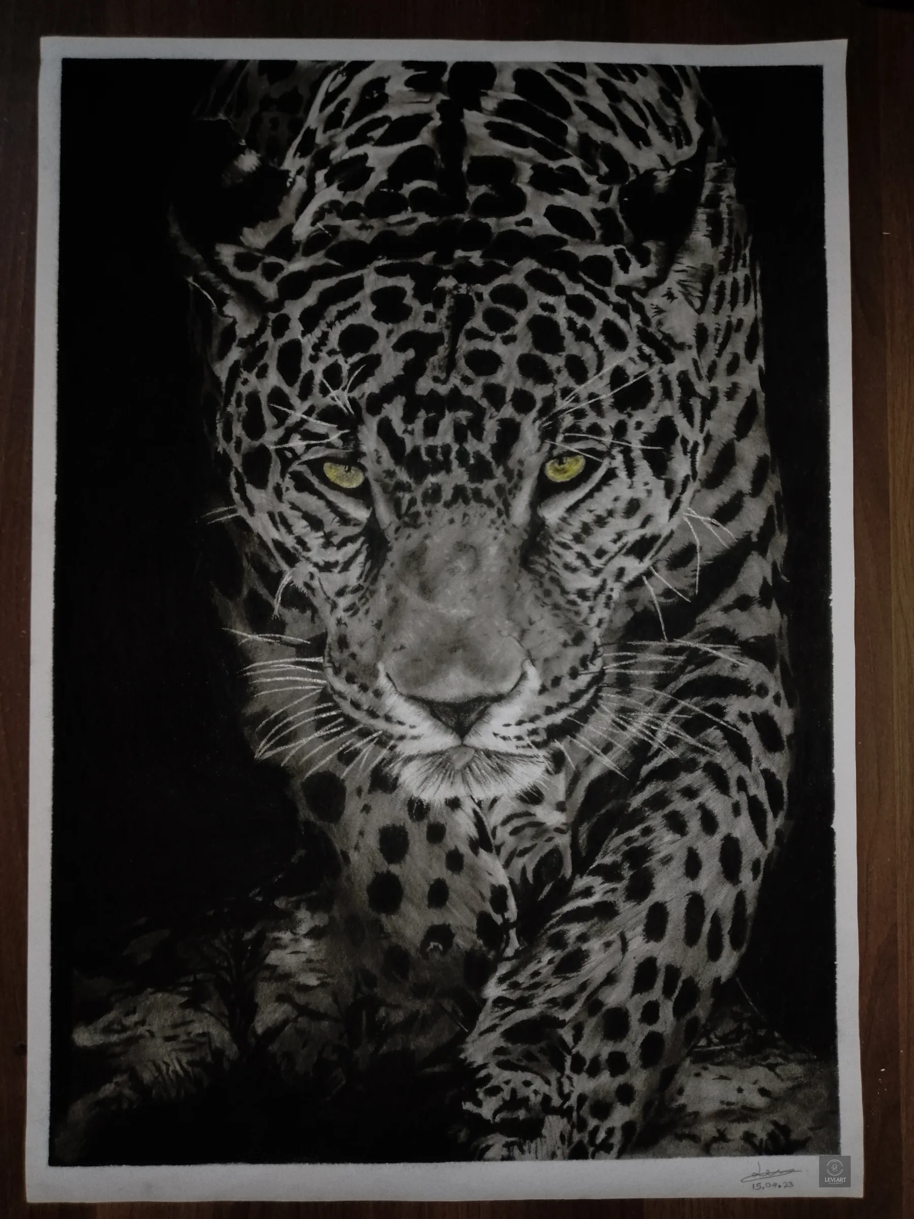 Jaguar, Personal Projects